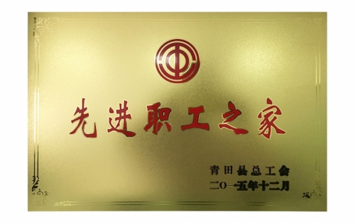 资质声誉-麻将胡了2,电子式电能,智能电能表,智能开关,智能