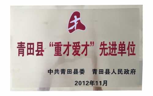 资质声誉-麻将胡了2,电子式电能,智能电能表,智能开关,智能