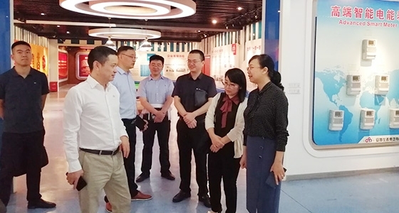 青田县组织部长金志红调研麻将胡了2园区党总支