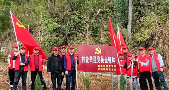 村企共建，，共植先锋林