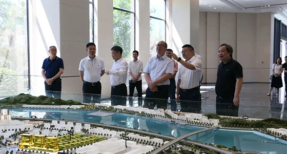 省委政研室童主任一行调研麻将胡了2集团